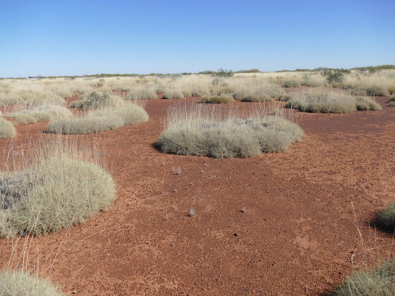 Ian Fraser, talking naturally The Great Sandy Desert 1