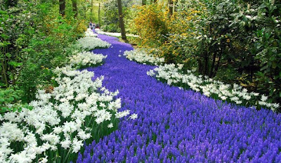 Keukenhof park