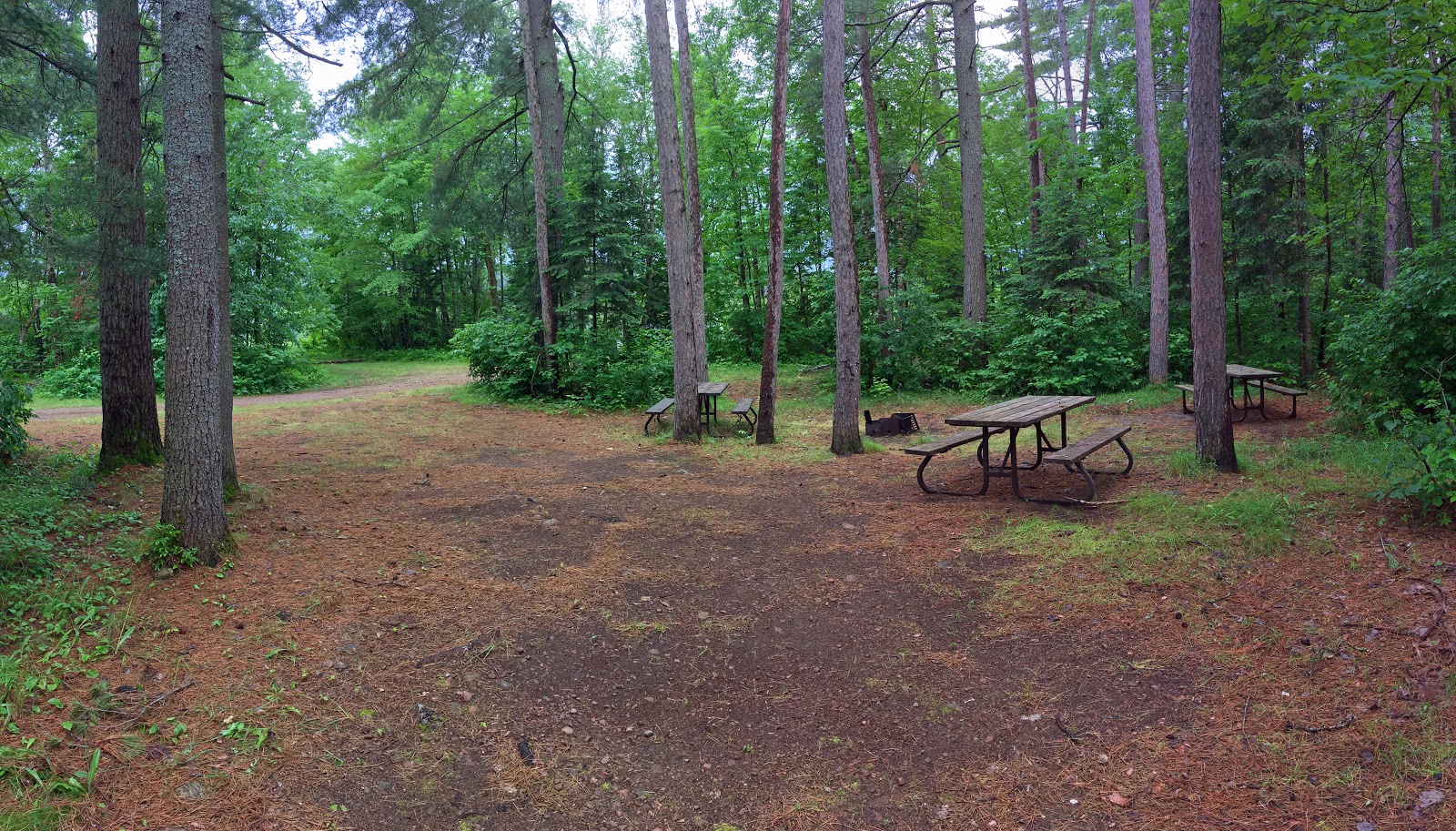 The Campsites Samuel de Champlain Ontario Provincial Park, site 121