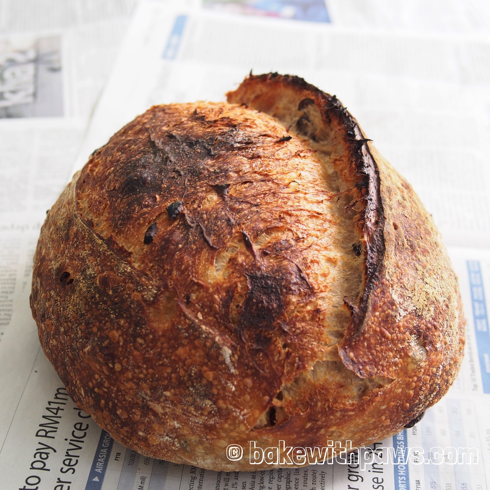 Sun Dried Tomato and Olive Sourdough Bread BAKE WITH PAWS