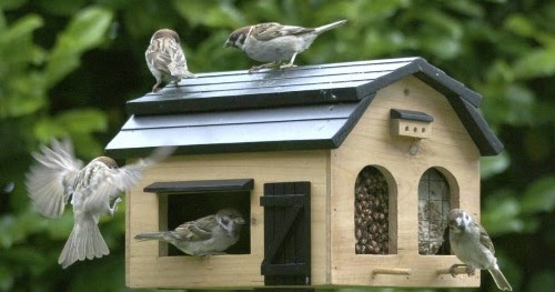 Top Beste voederhuis vogels tuin