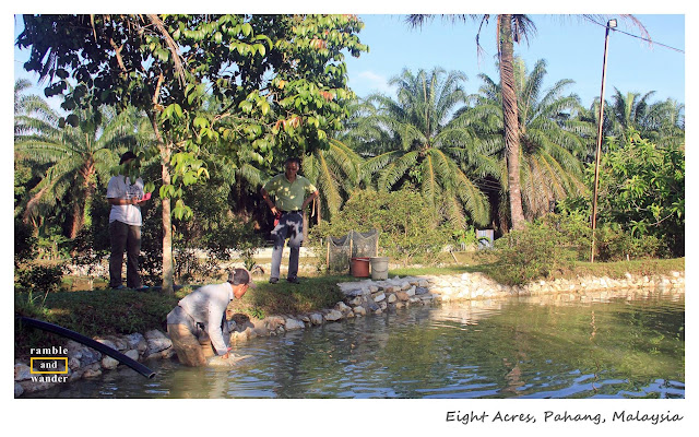 Eight Acres Resort, Raub, Pahang, Malaysia | www.rambleandwander.com