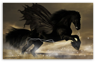 All Wallpapers: Black Horse New Best hd Wallpapers 2013