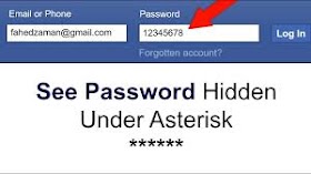 How to View Password Hidden Behind Asterisk