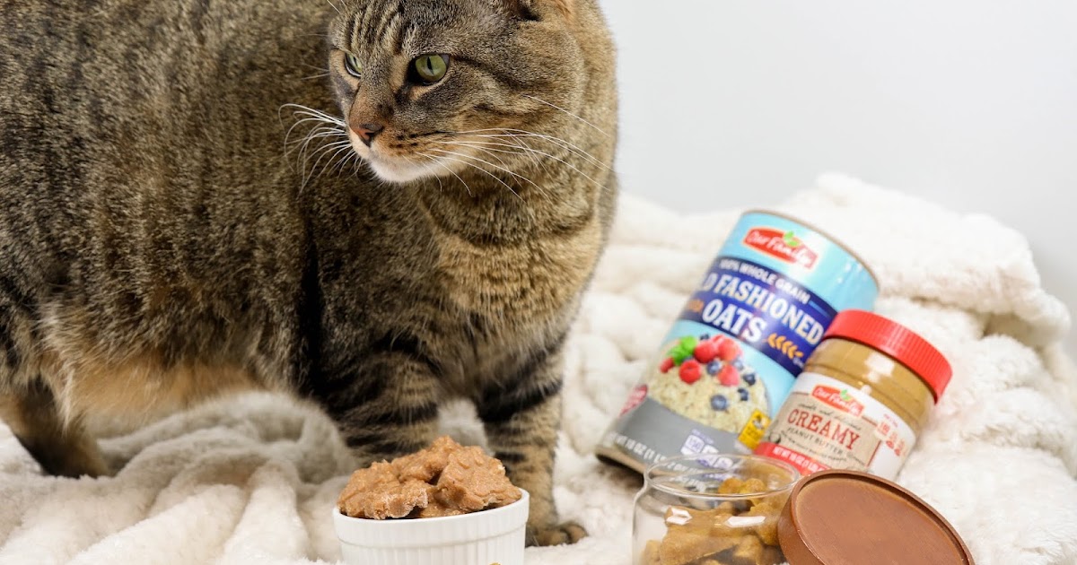 Homemade Cat & Dog Treats ft. Our Family / Oh, Hello Living