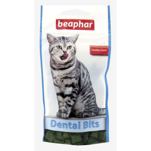 KEDİ ÖDÜLLERİ