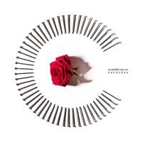[2017] - Fateless [Limited Edition] (2CDs)