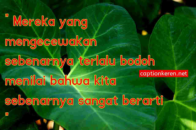 Kata Kata Motivasiku Terbaik Untuk Kamu Yang Sedih Dan Kecewa