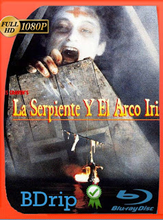 La serpiente y el arco iris (1988) BDRIP 1080p Latino [GoogleDrive] SXGO