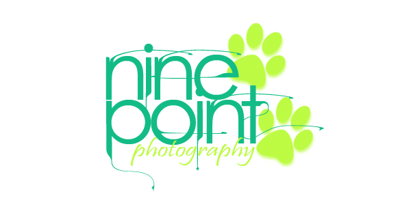 nine point photography