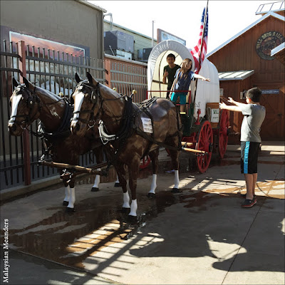 Wall Drug