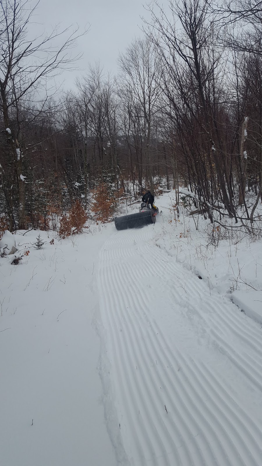 Skiing and Snowshoeing at the Tupper Lake Country Club to Big Tupper