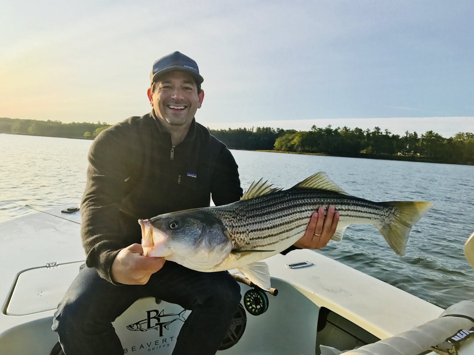 Maine Striper Fishing Reports