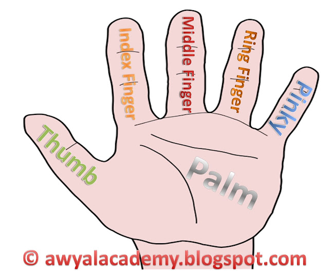 The name of the five fingers of your palm. Awyal Academy