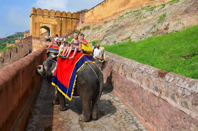 Royal Rajasthan for Elephant Ride