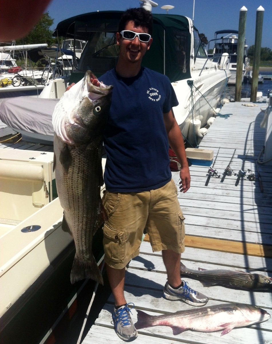 no fluke fishing Striped bass taste good… and have good taste