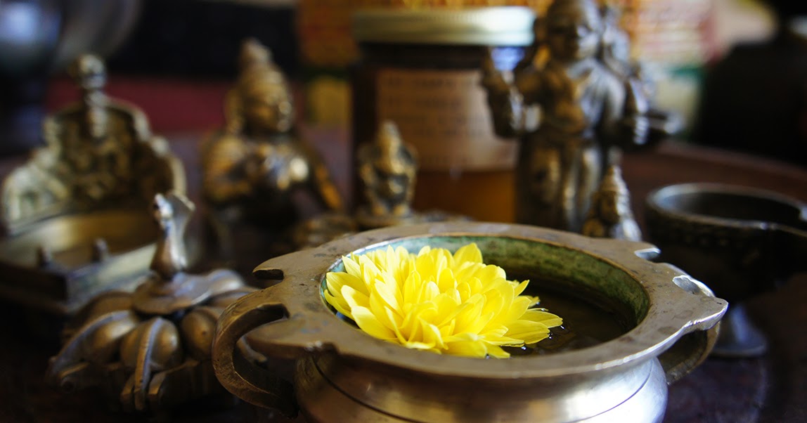 Creative Evolution and a Goodbye...