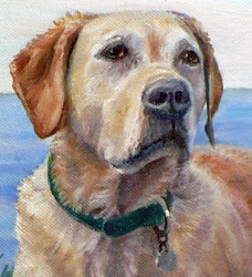 labrador retriever dog yellow painting oil portrait canvas custom watercolor paintings portraits paint pet requests