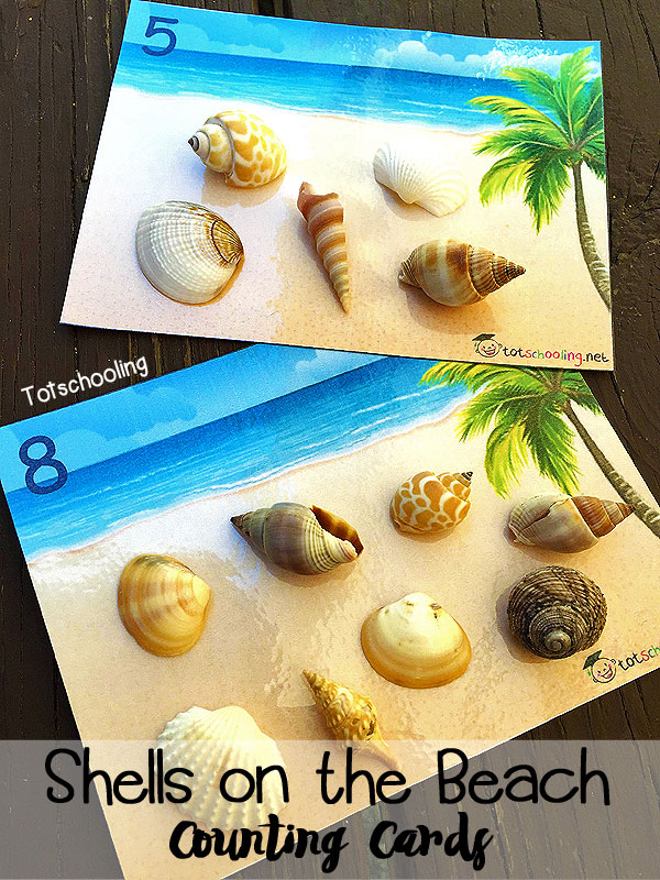 Shells on the Beach Counting Cards Totschooling Toddler, Preschool