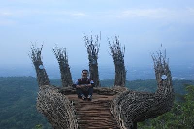 Hutan Pinus Pengger