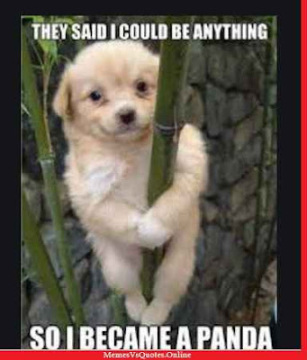 Cute Puppy Memes