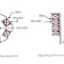 Drop Box mechanism