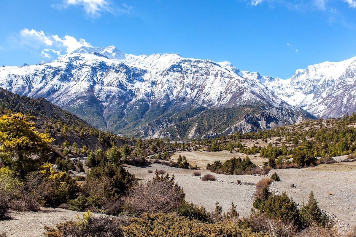 200км по красно-белым черточкам.. Around Annapurna. март-апрель 2017