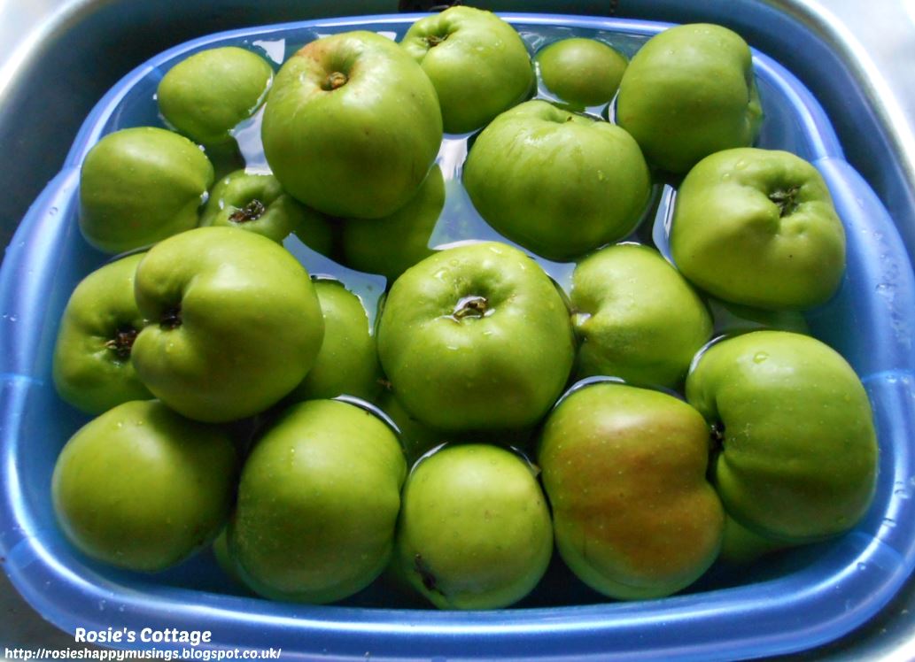 Rosie's Cottage An Early Harvest Of Beautiful Scottish Bramley Apples