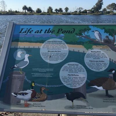 bird description sign at Palo Alto Duck Pond in Palo Alto, California