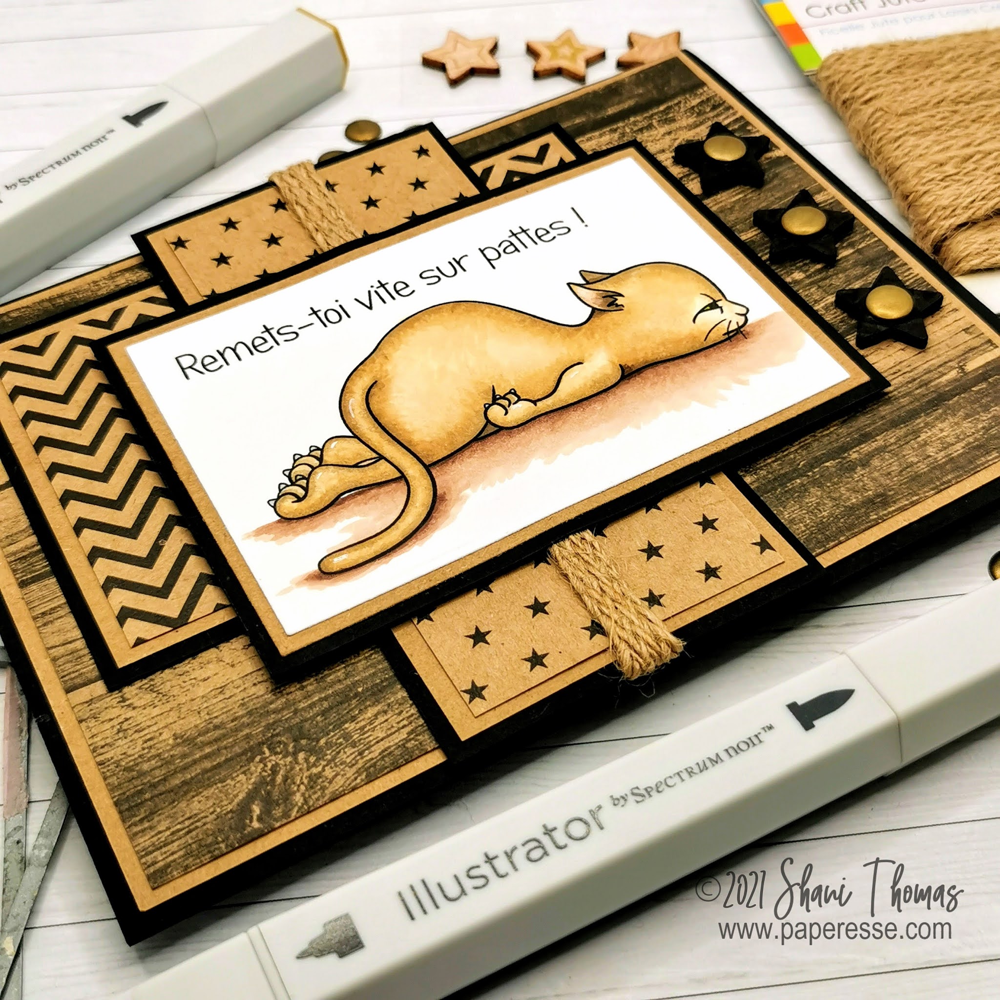 Masculine Get Well Card Featuring Beccy's Place The Cat's Meow Digital  Stamp | Paperesse