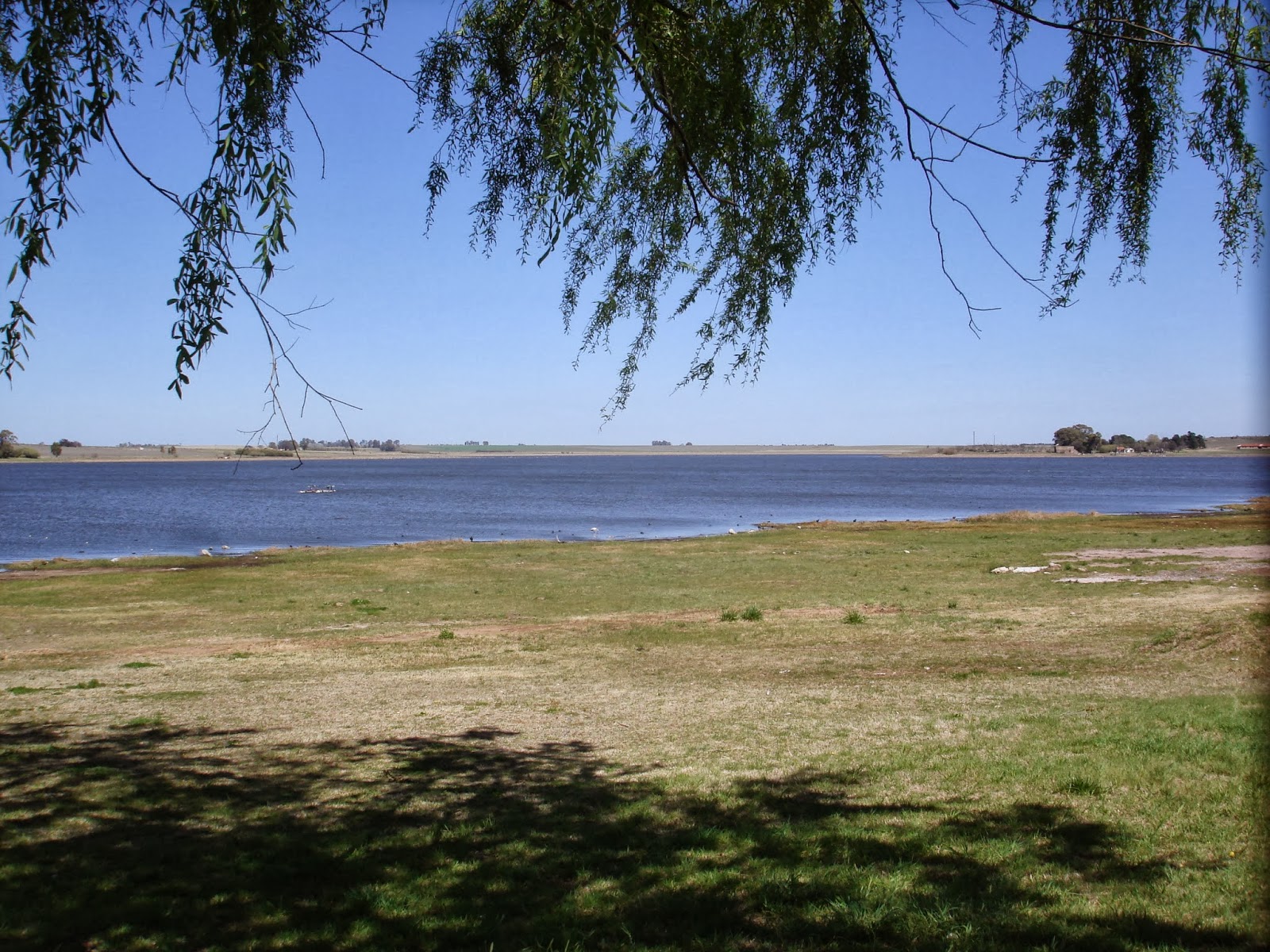 50 kilómetros... Viajando por Puan y Darregueira en la Provincia de