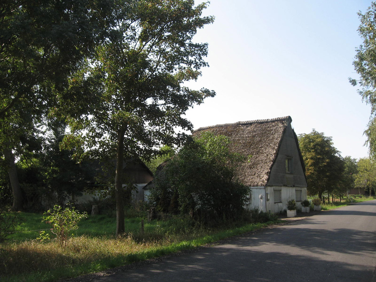 Zwei Linden vor dem Haus Durchgefahren RaaBesenbek (August 2018)