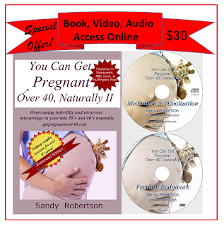 FENG SHUI YOUR HOUSE FOR FERTILITY FENG SHUI YOUR HOUSE FOR FERTILITY
