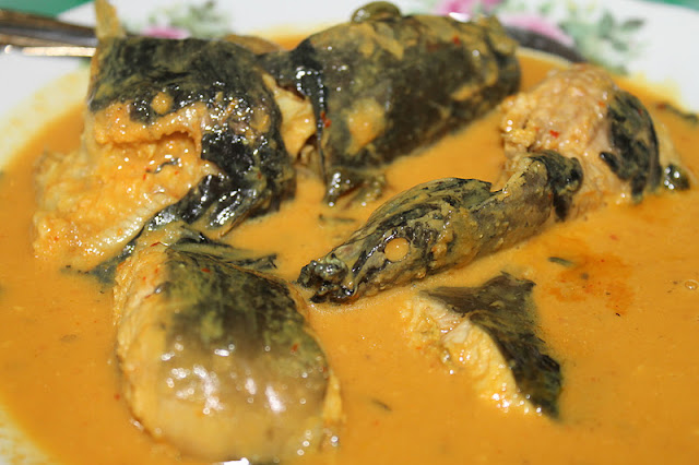 Gulai Lemak Ikan Keli Lembut