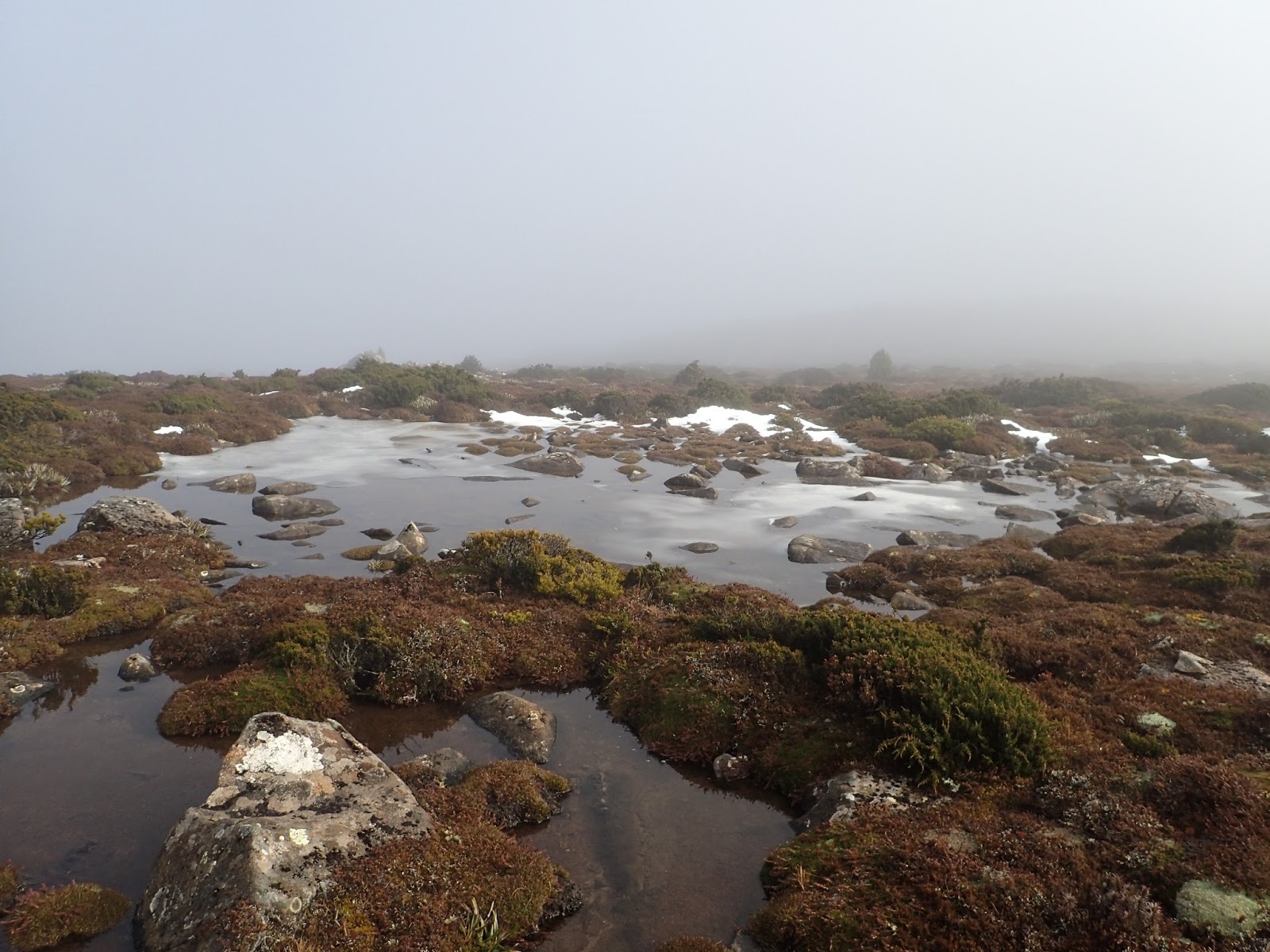 Mawson Plateau Hiking South East Tasmania