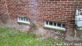 first time glass block window, how to update house, basement remodel