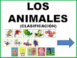 U.D. Los animales