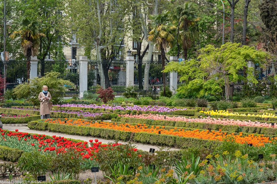 Qué es un Jardín Botánico