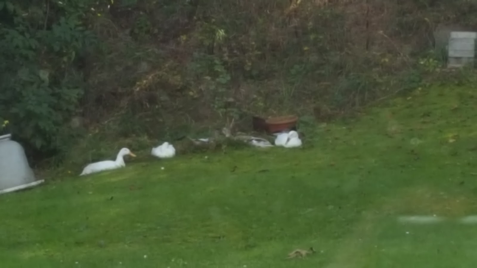 A Pinch Of Style Page 2 Chan 51428493 Rssing Com