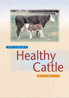 Healthy Cattle Naturally