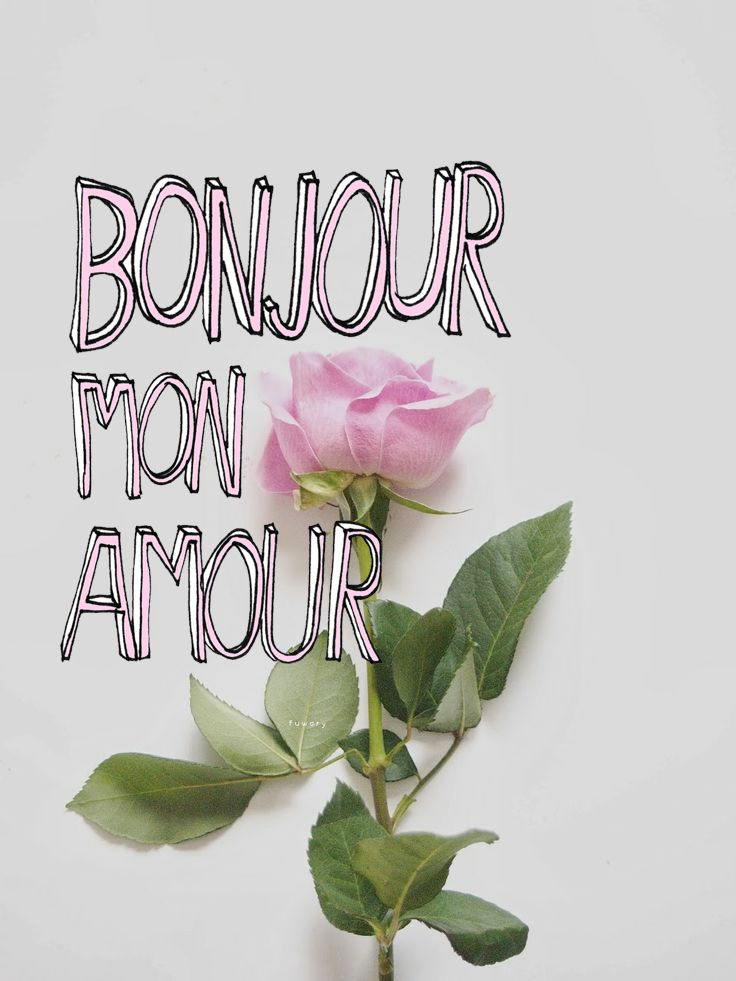 Les petites images d'Amour du net: Bonjour mon Amour, cette rose est