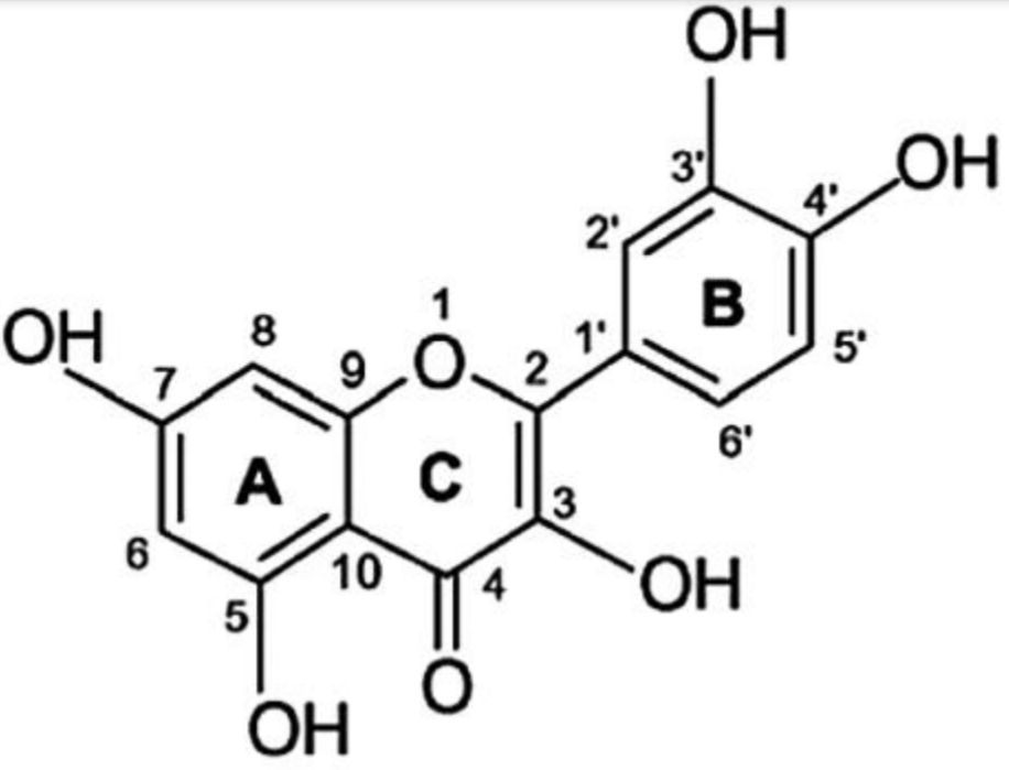 MANGO TREES Quercetin A polyphenolic flavonoid compound