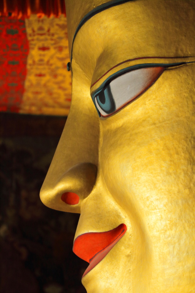 Side profile of the Buddha statue inside the temple of Shey Palace, Ladakh, India