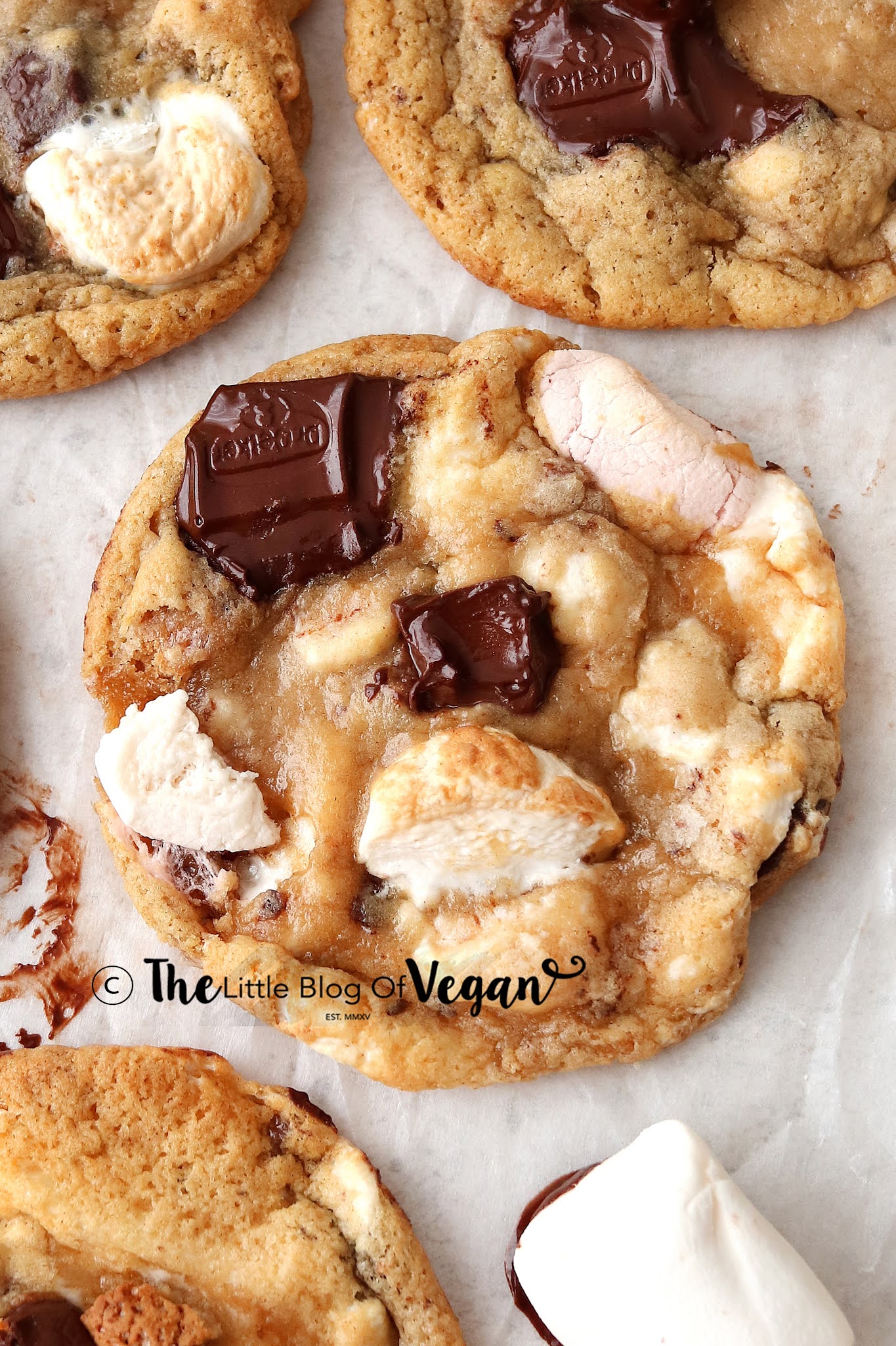 Smore Cookie Upclose Smore Cookie