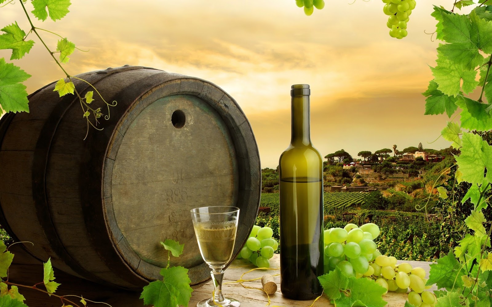 Drinks Wallpapers Drinks Wallpapers
