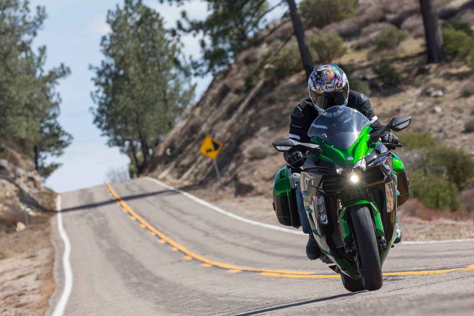 Kawasaki h2 SX 2018