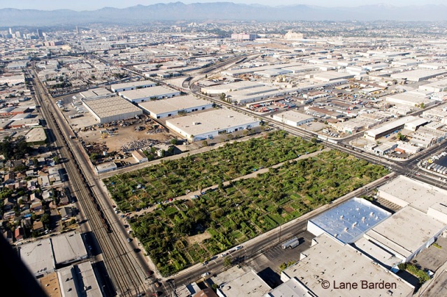 Mapping Los Angeles: South Central Community Farm