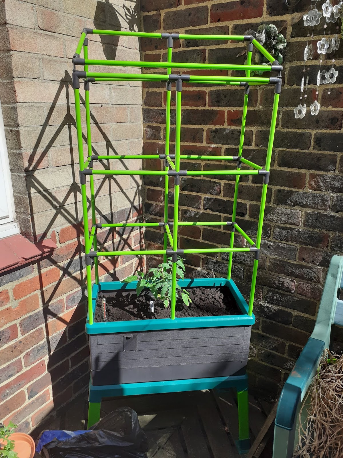 Alans Allotment City Jungle Trellis & Sweet Potatoes