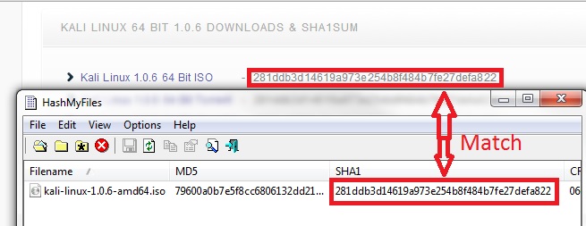kali virtualmachine nothing works kali virtualmachine nothing works