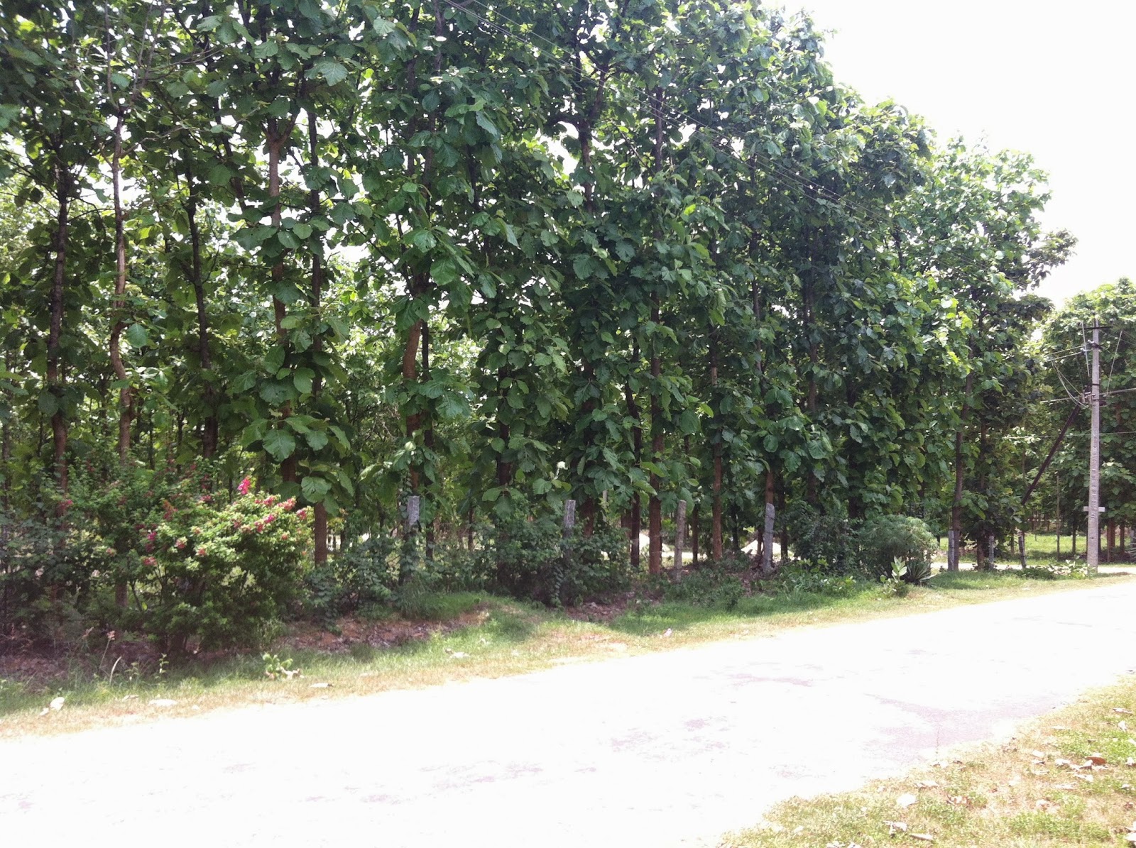 Emerald Enclave, Mysore